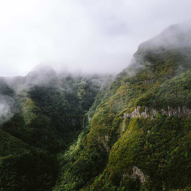 green landscape of madeira