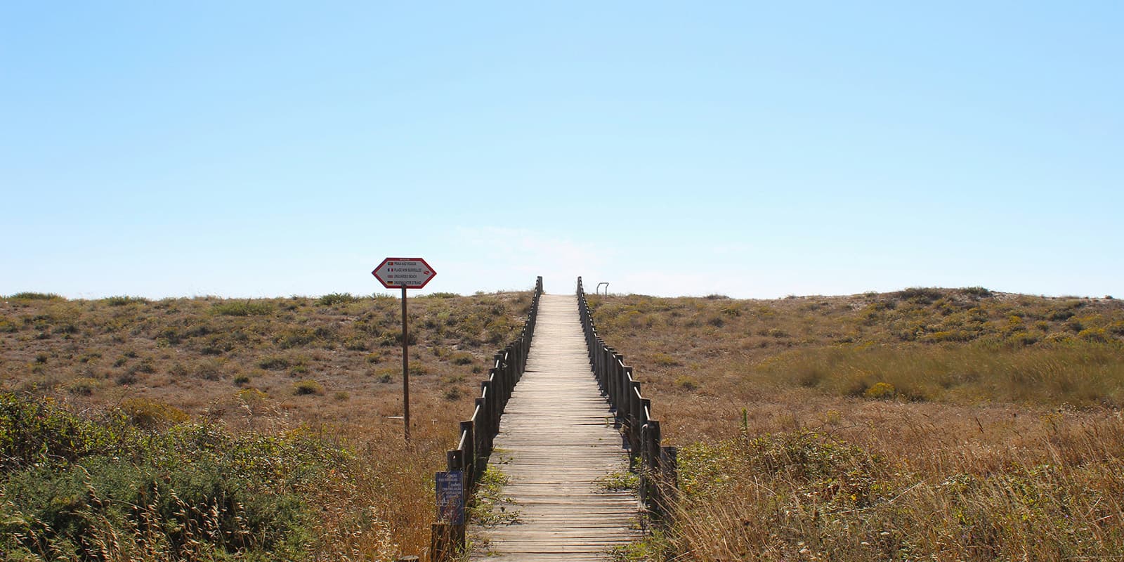 wooden pathway towards the dunes and ocean