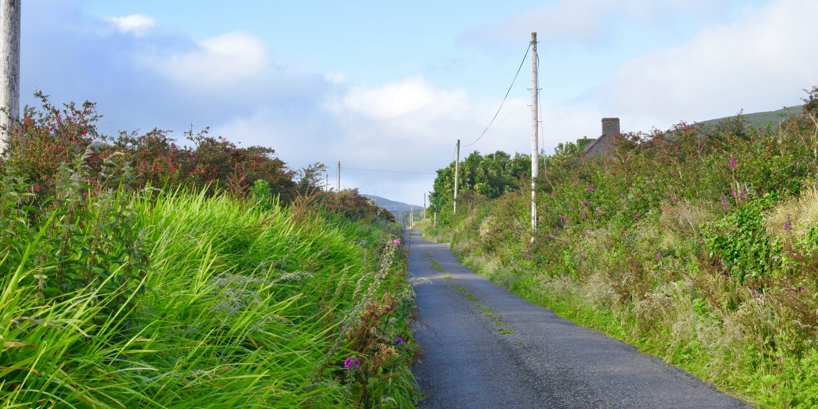 Dingle Way walking paths