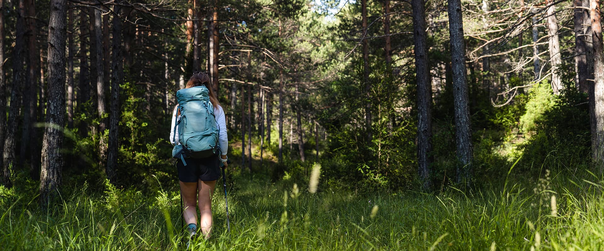 women hiking in forest