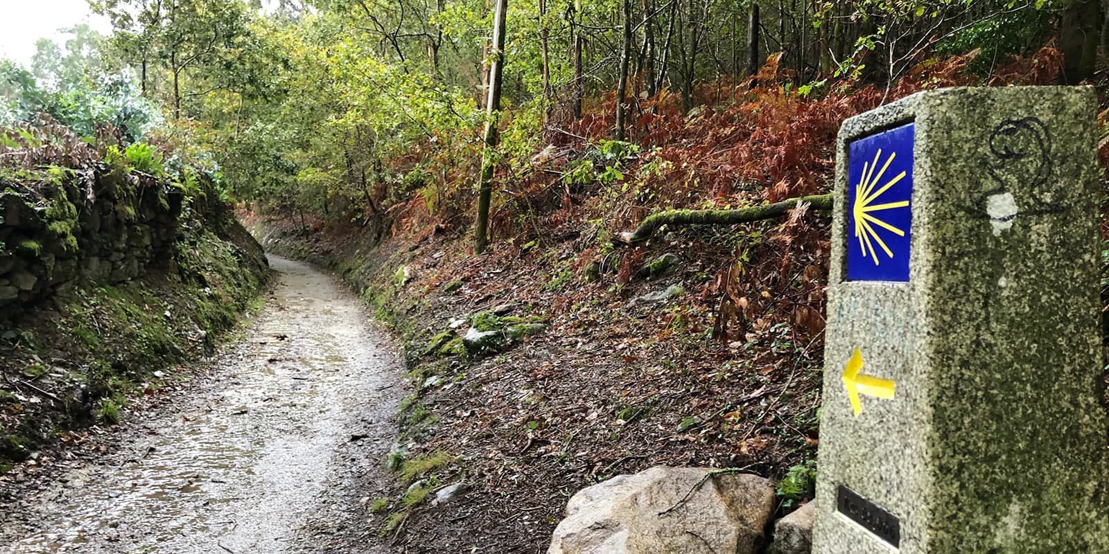 Camino Finisterre trail