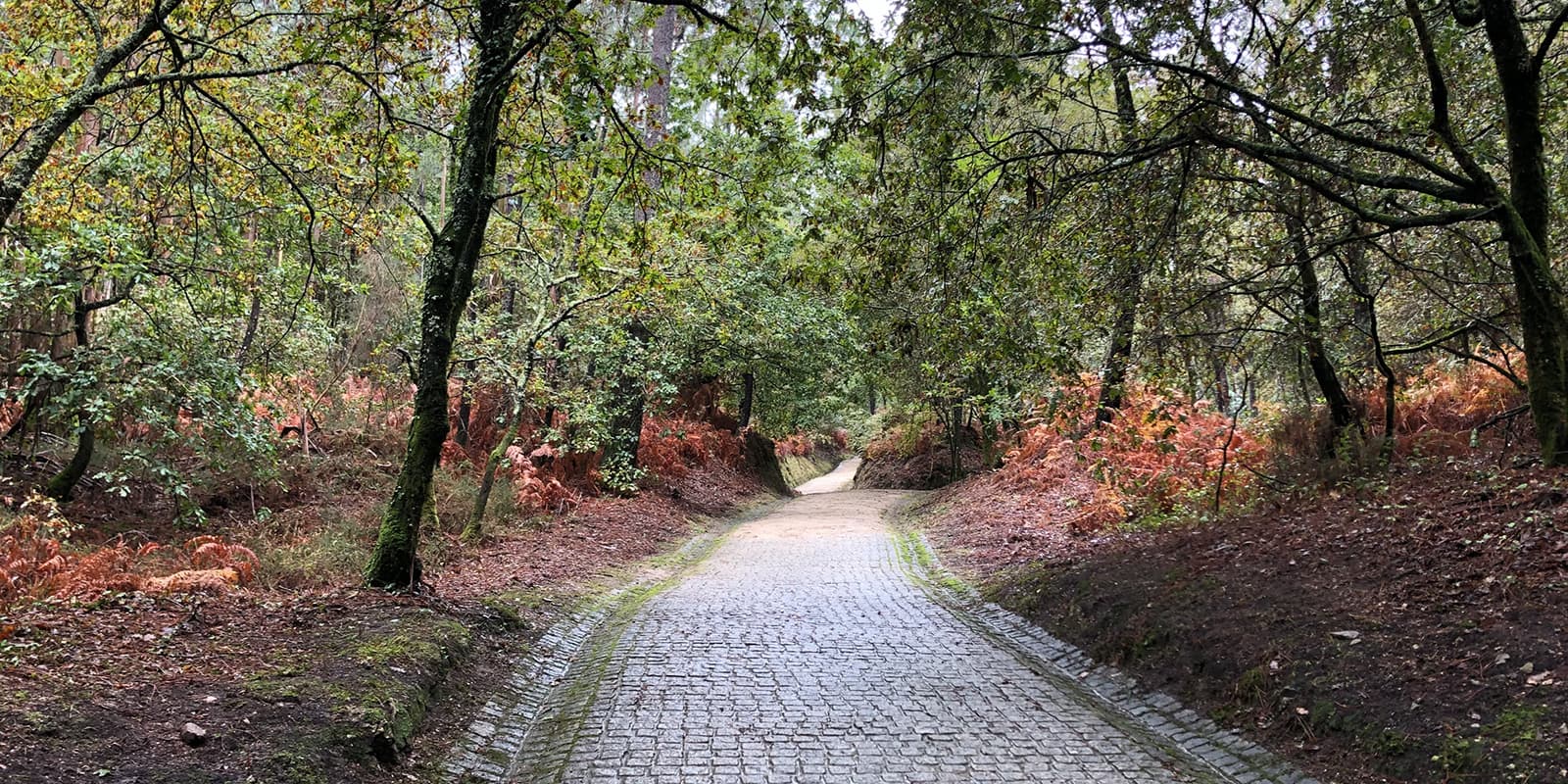 stone pathway on the Camino Finisterre trail