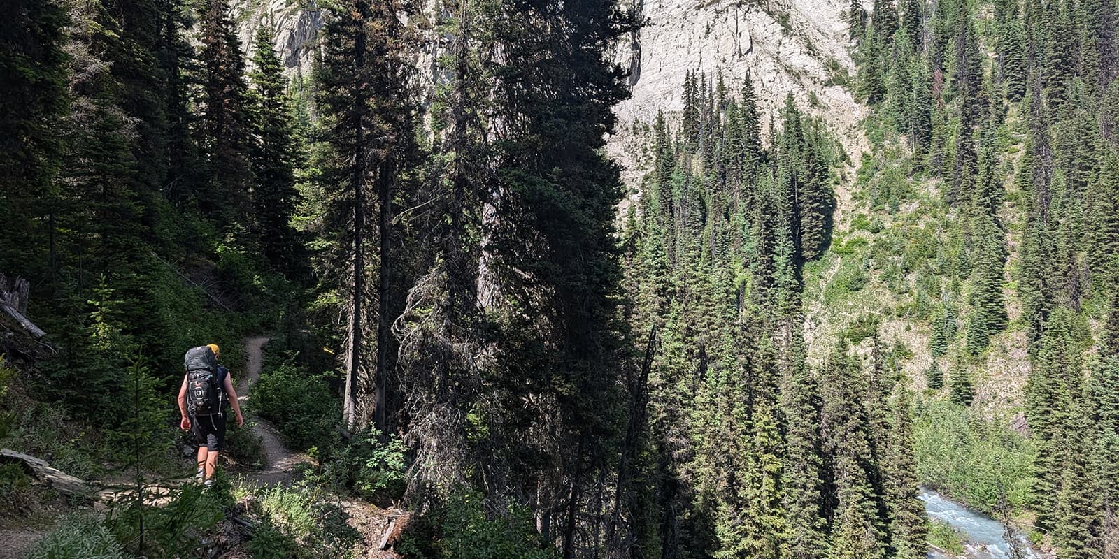 person hiking on the Rockwall trail in Canada