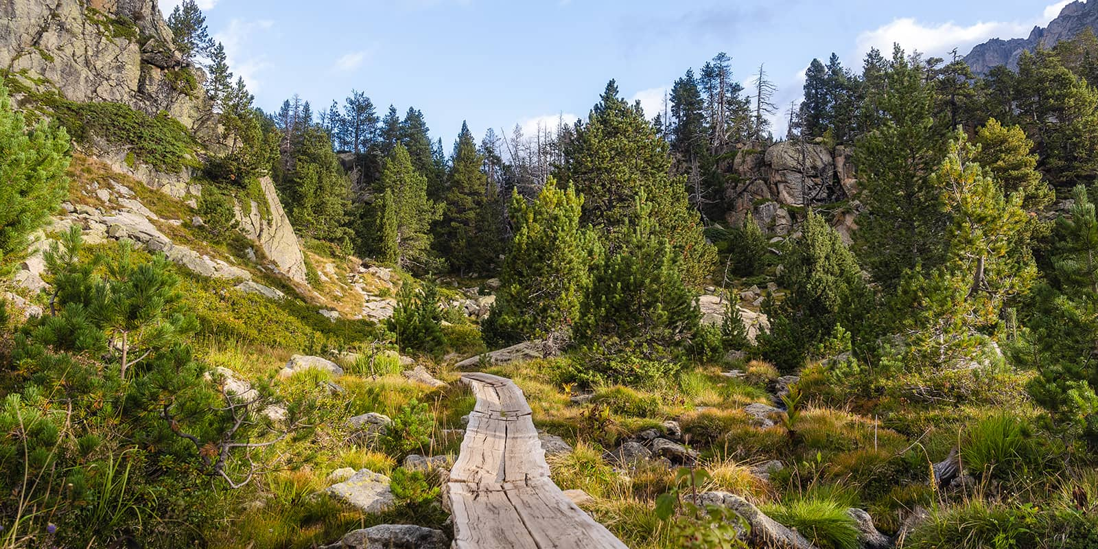 wooden pathway in national park in the Pyrenees