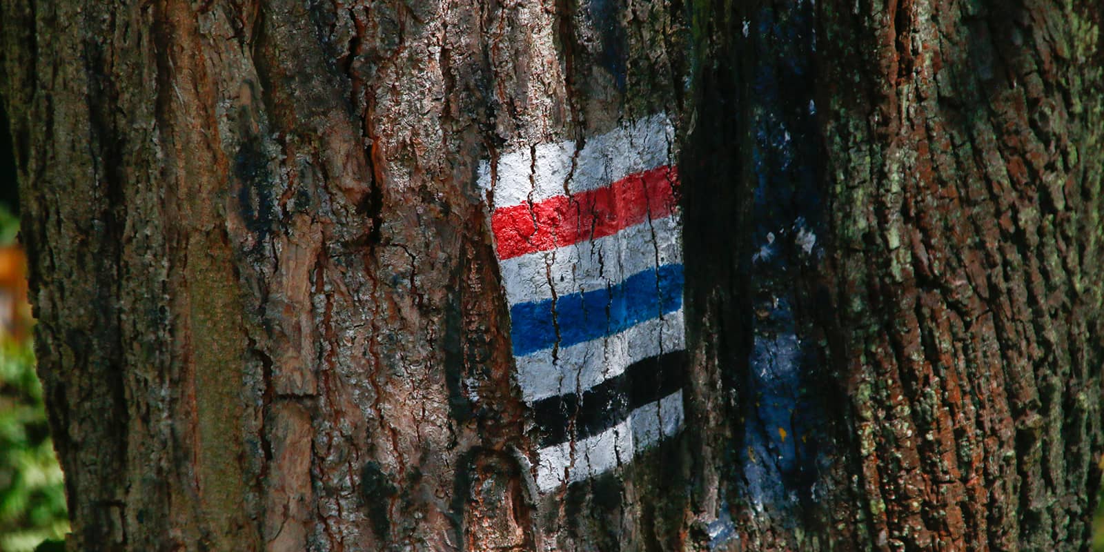 trail mark Eagle's nest trail