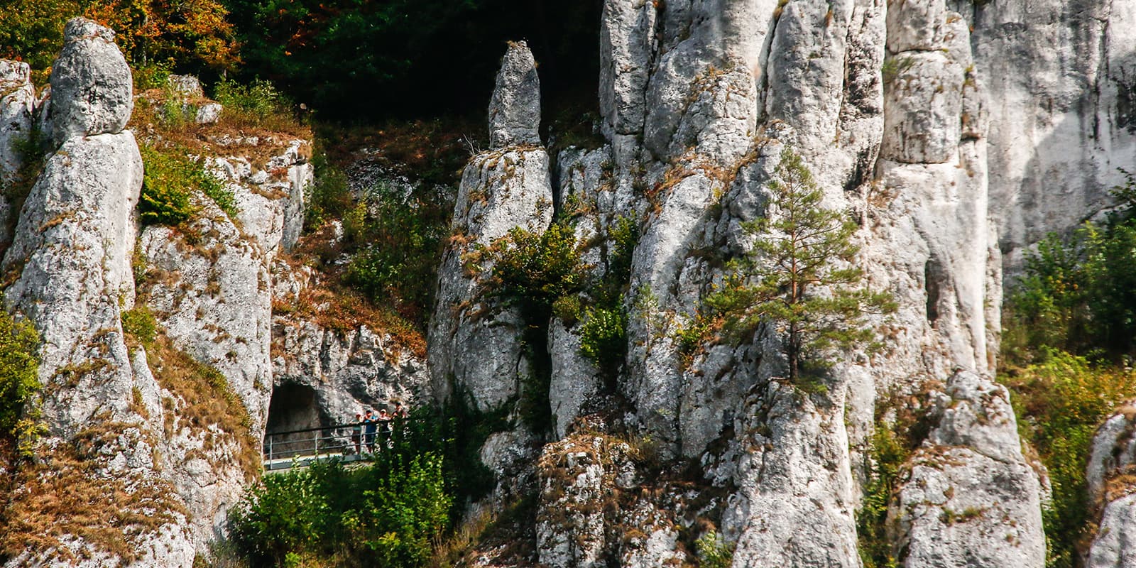 Jurassic landscape in Poland