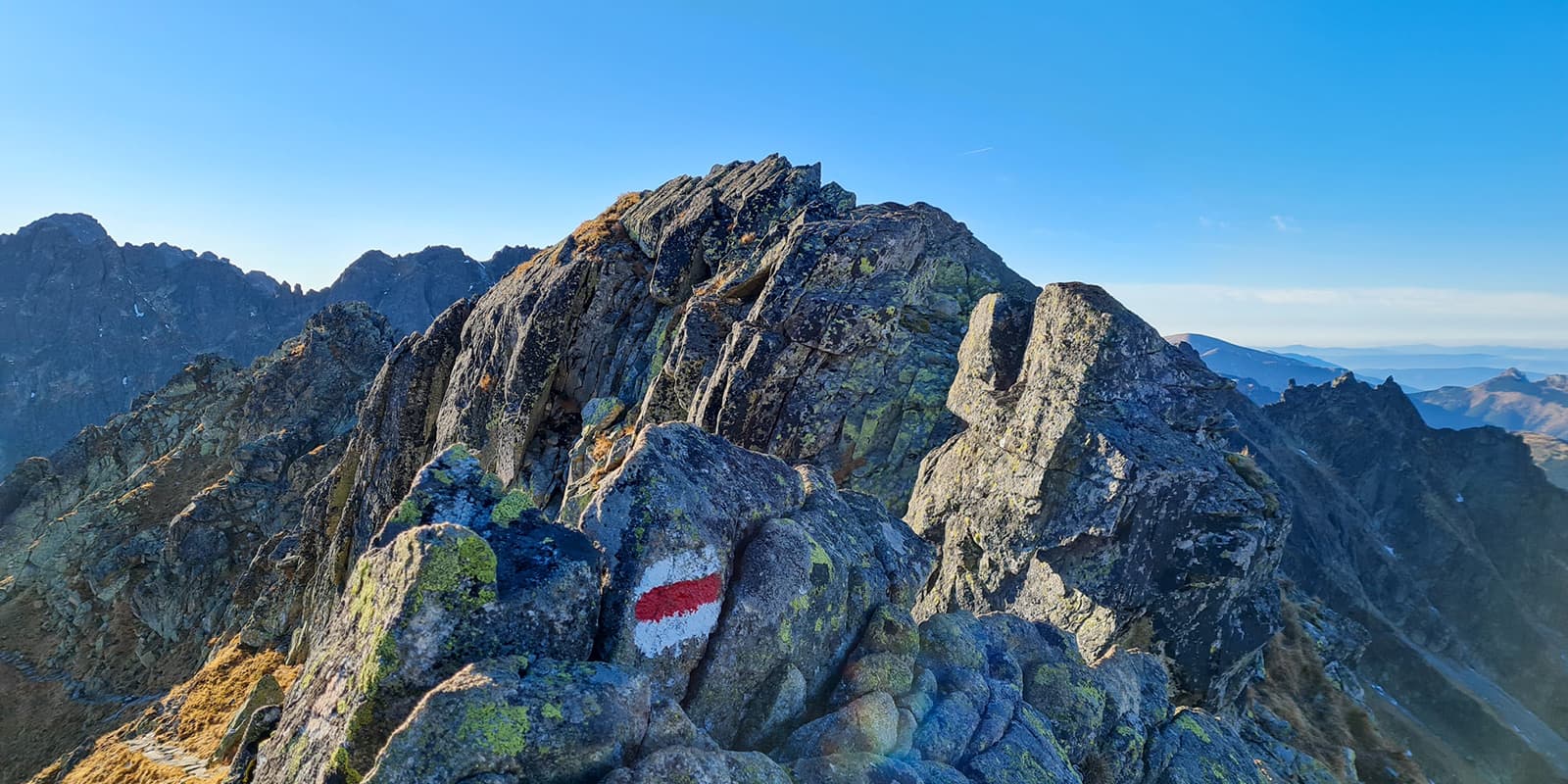 Eagle's path in Poland