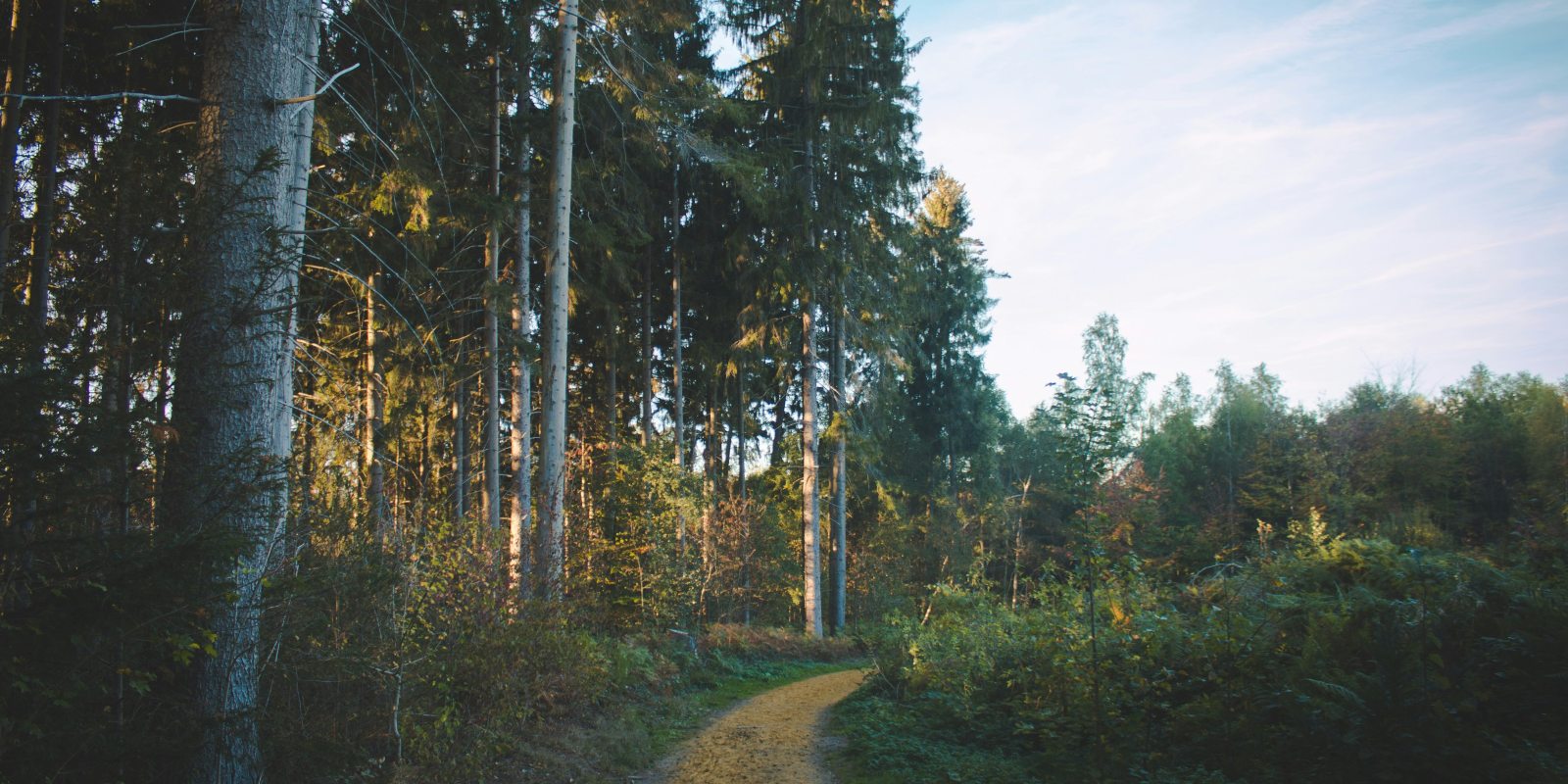 Hiking Trail in the Eifel