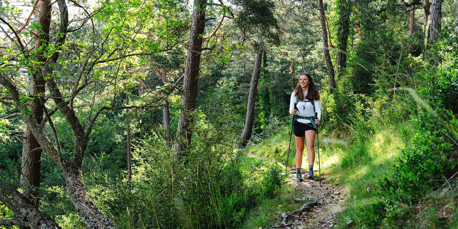 person hiking in forest on small path