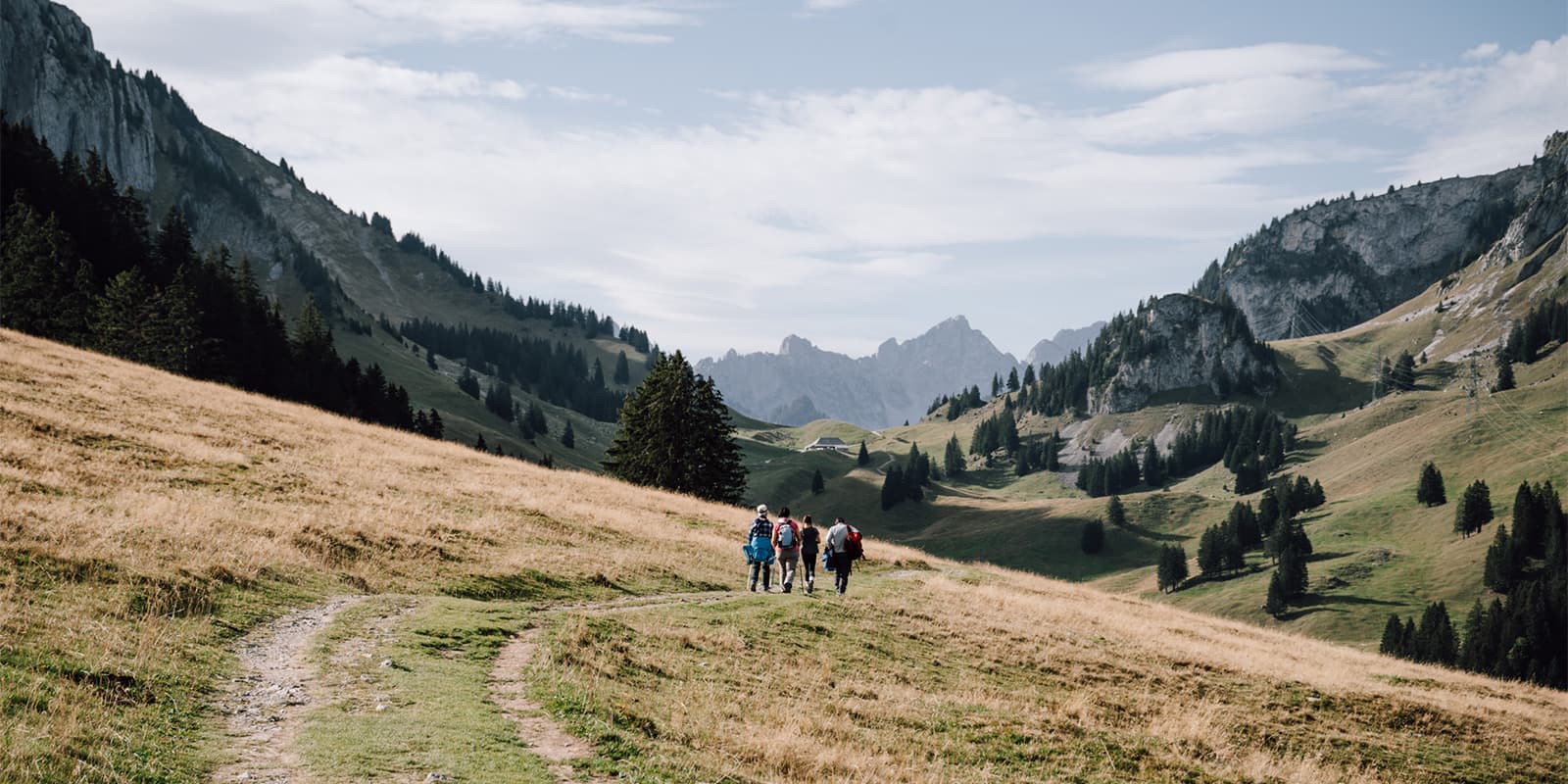 mountainous landscape in the Gruyère region in Switzerland