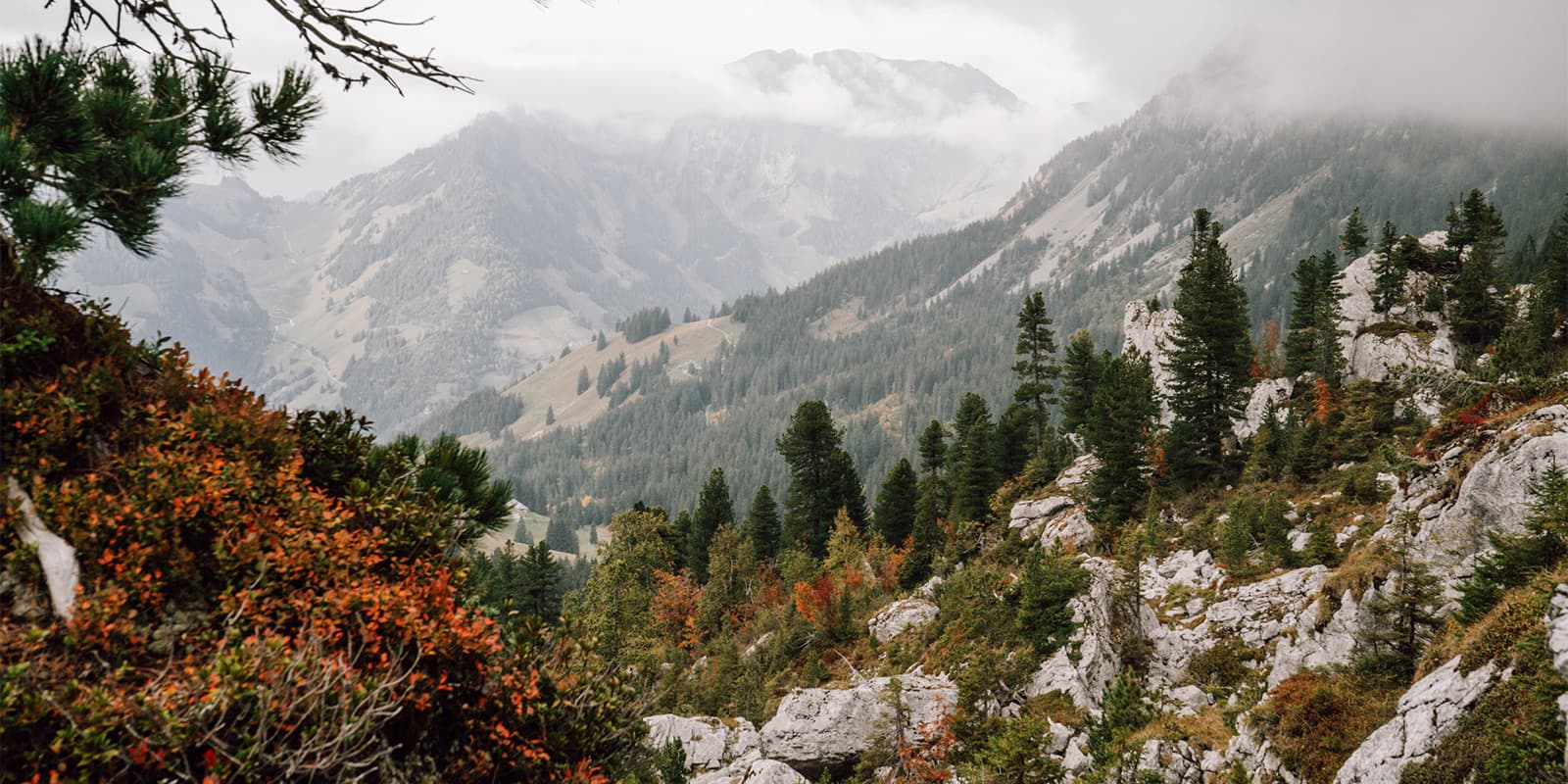 mountainous landscape in the Gruyère region in Switzerland