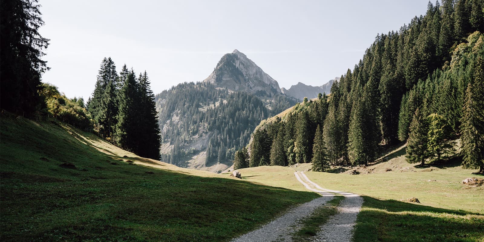 gravel road in mountainous landscape in the Gruyère region in Switzerland