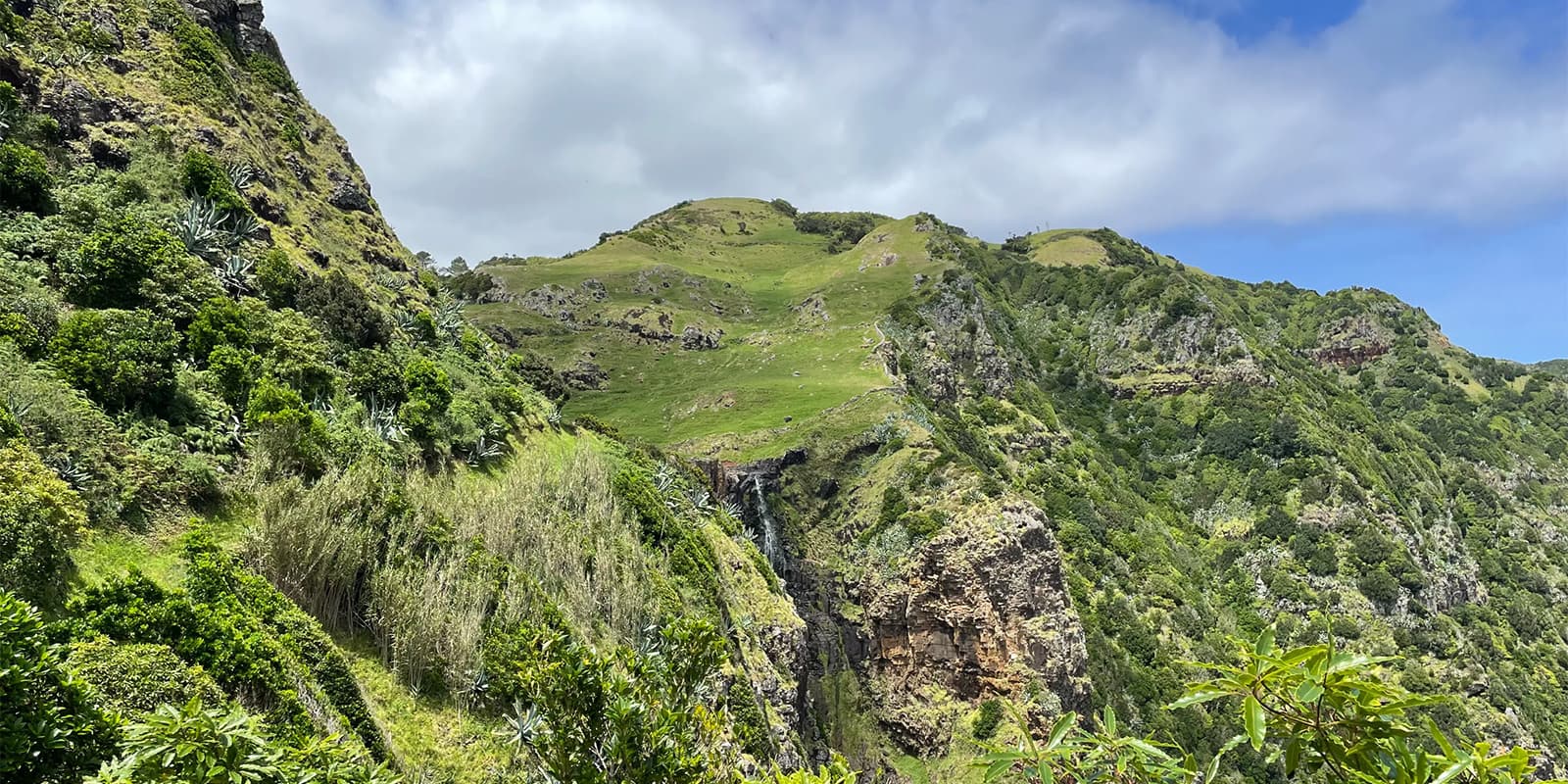 green landscape of inland Azores