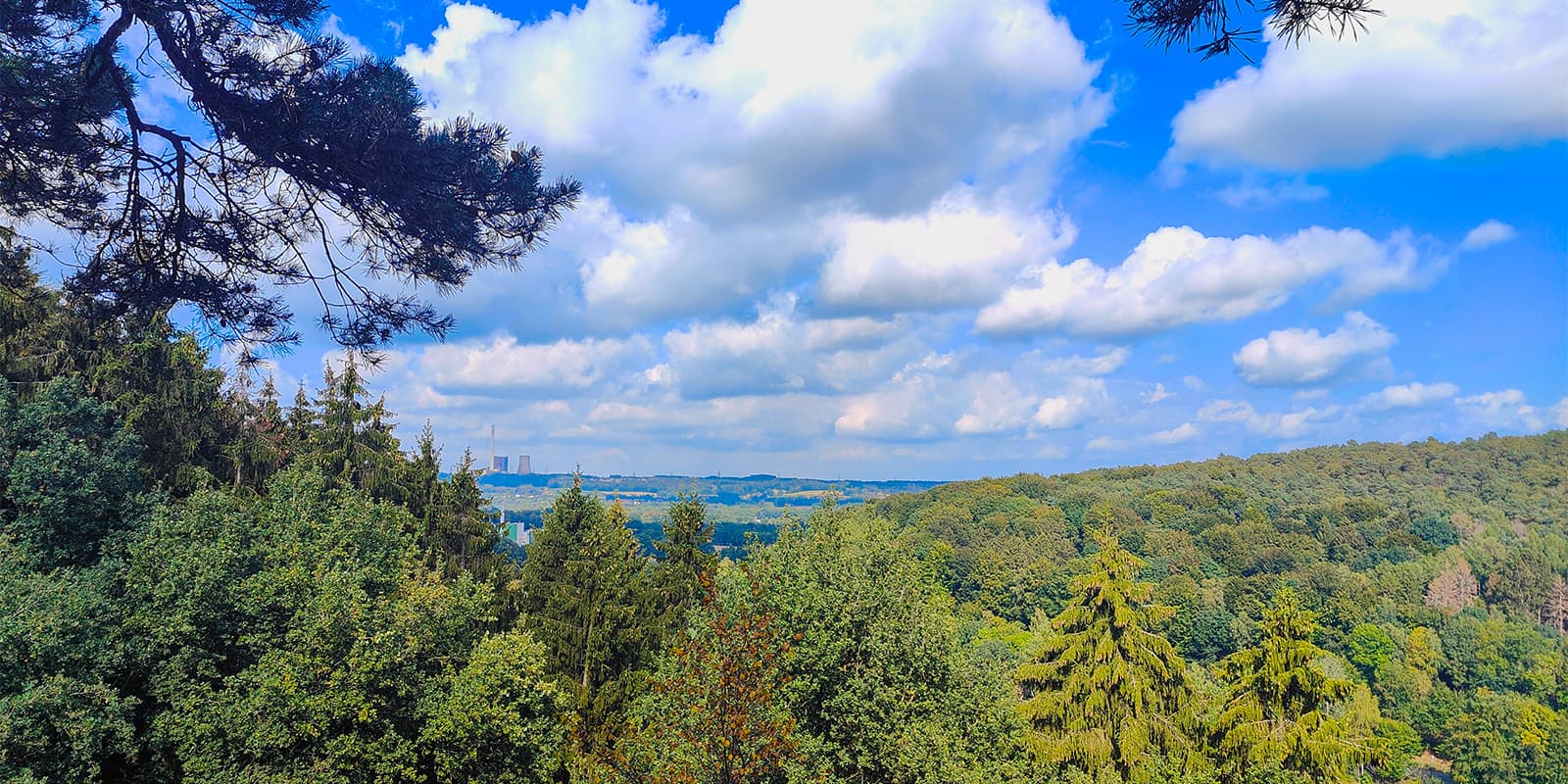 forest view on the Hermannsweg in Germany