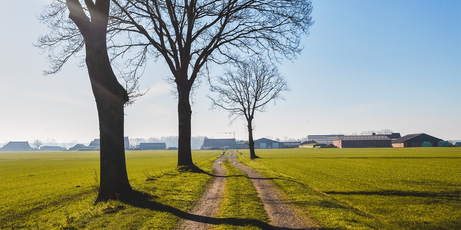 flat countryside in belgium near farms