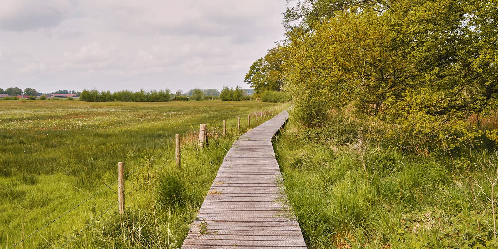 wooden pathway on the Kempentocht, Belgium