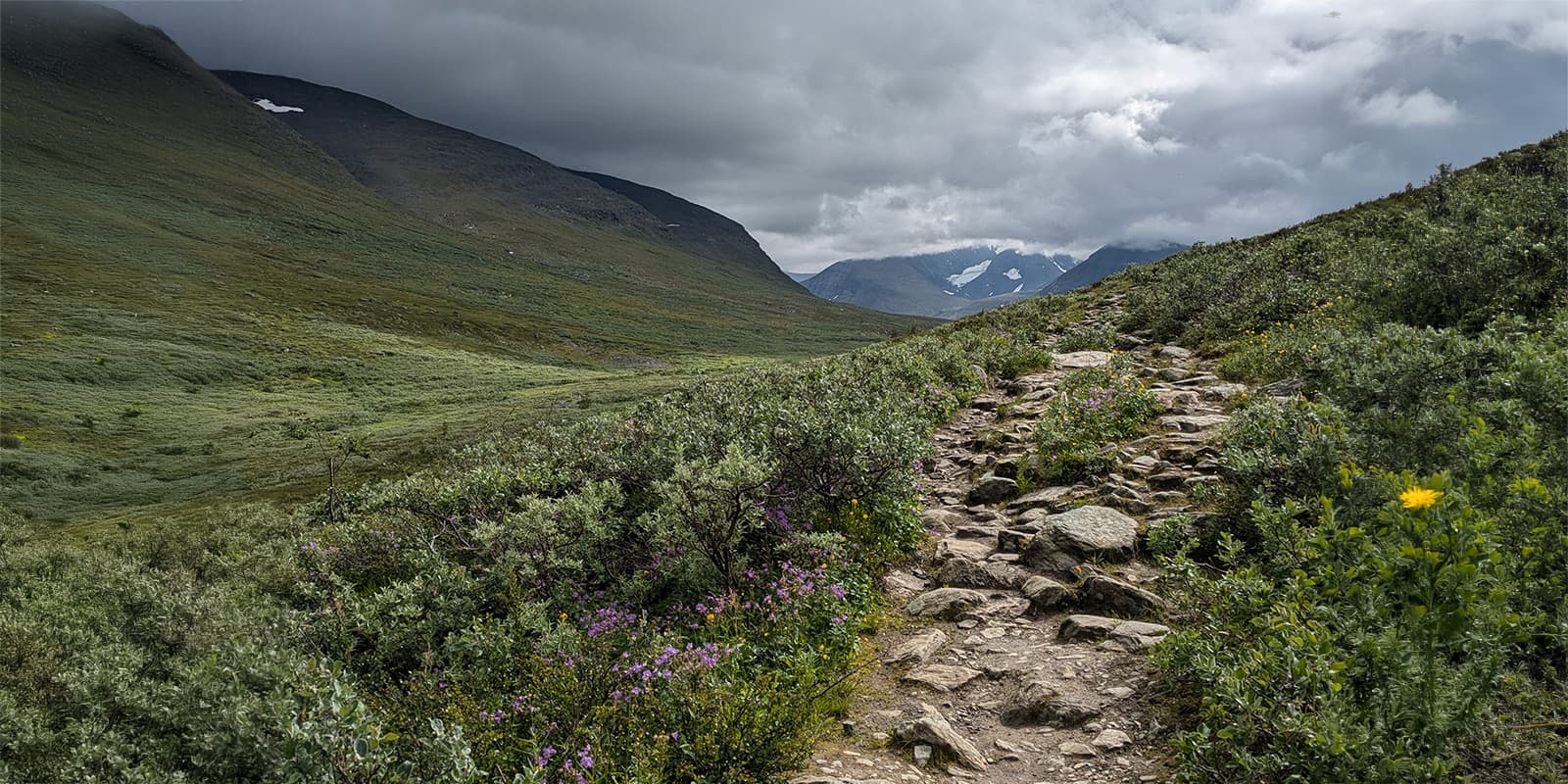 small mountain path in Sweden on the kungsleden