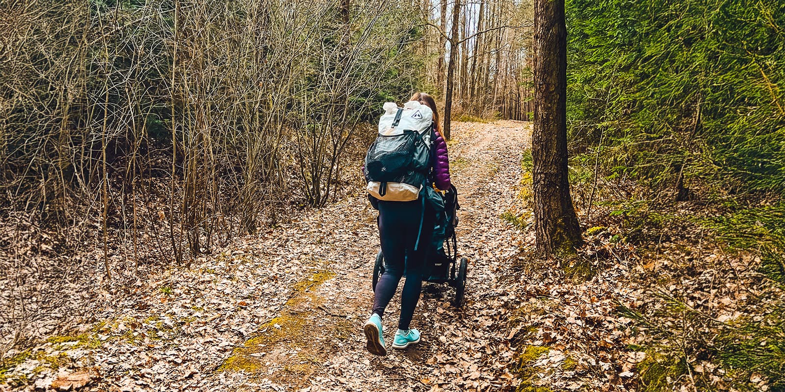 forest trail on the Lužnice-Valley trail in the czech republic