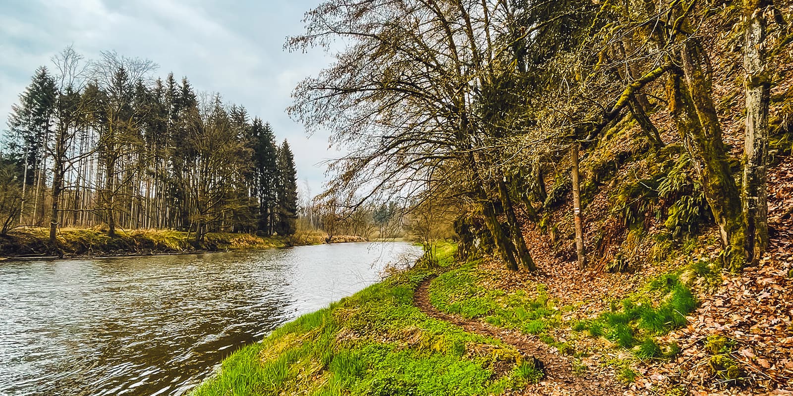 forest trail on the Lužnice-Valley trail in the czech republic