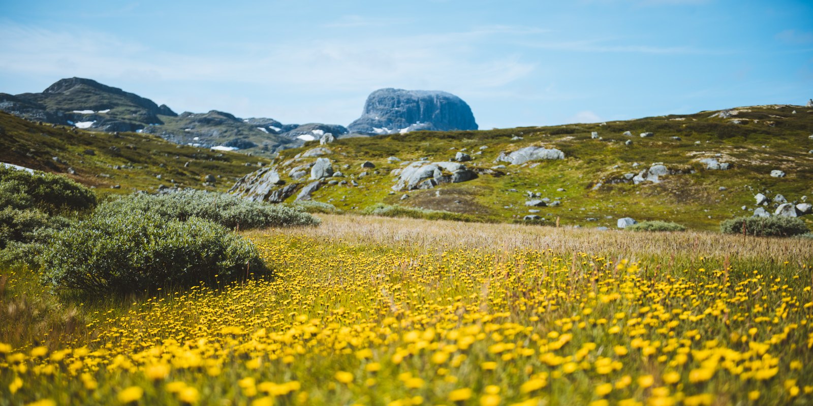 Norway hiking