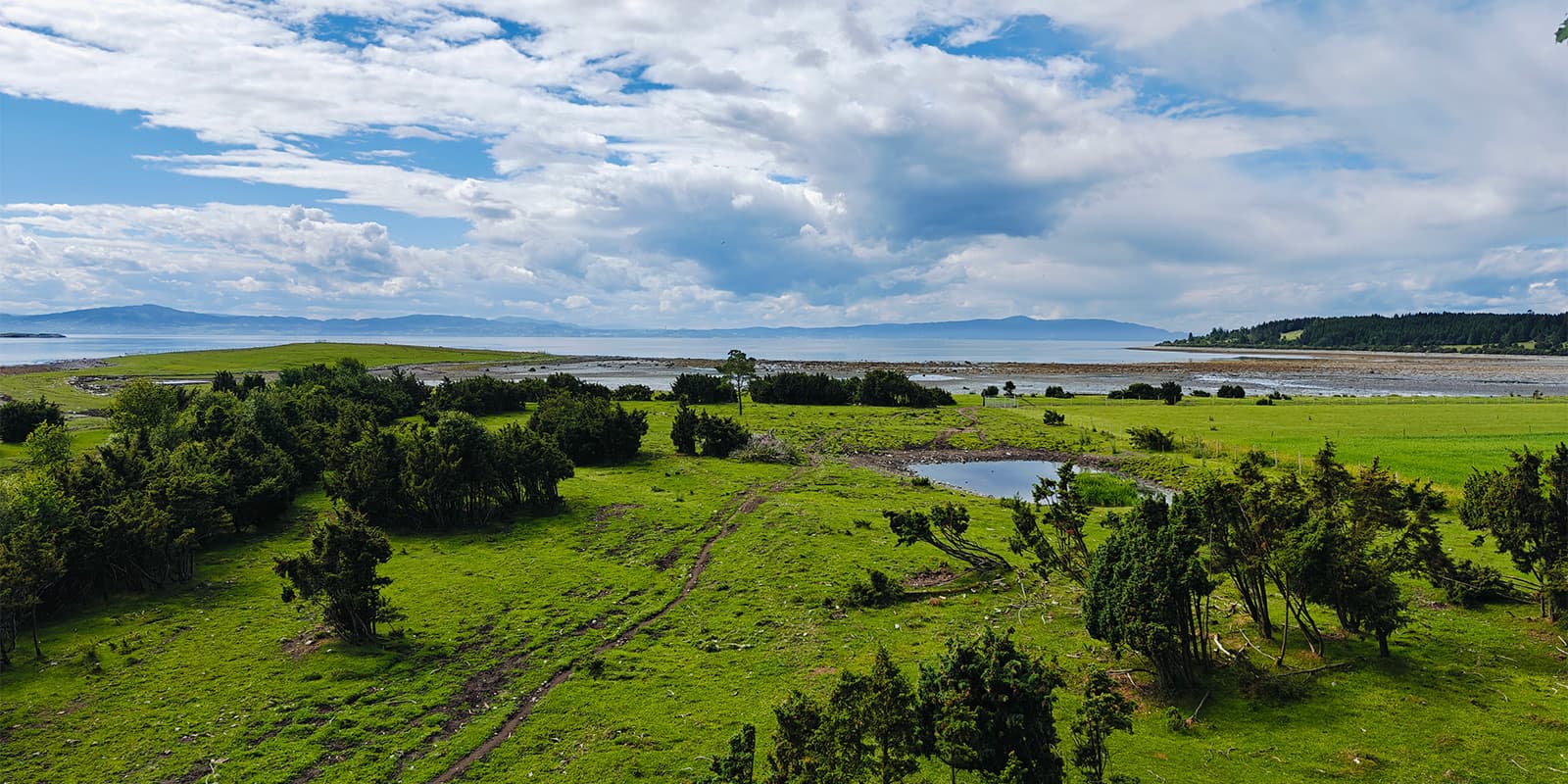 green landscape of Sweden near body of water