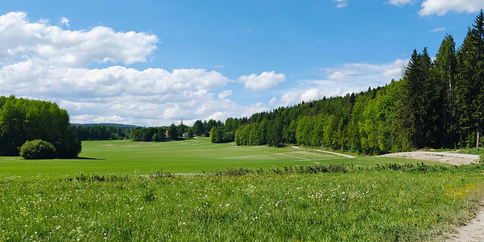 green landscape S:t Olavsleden trail