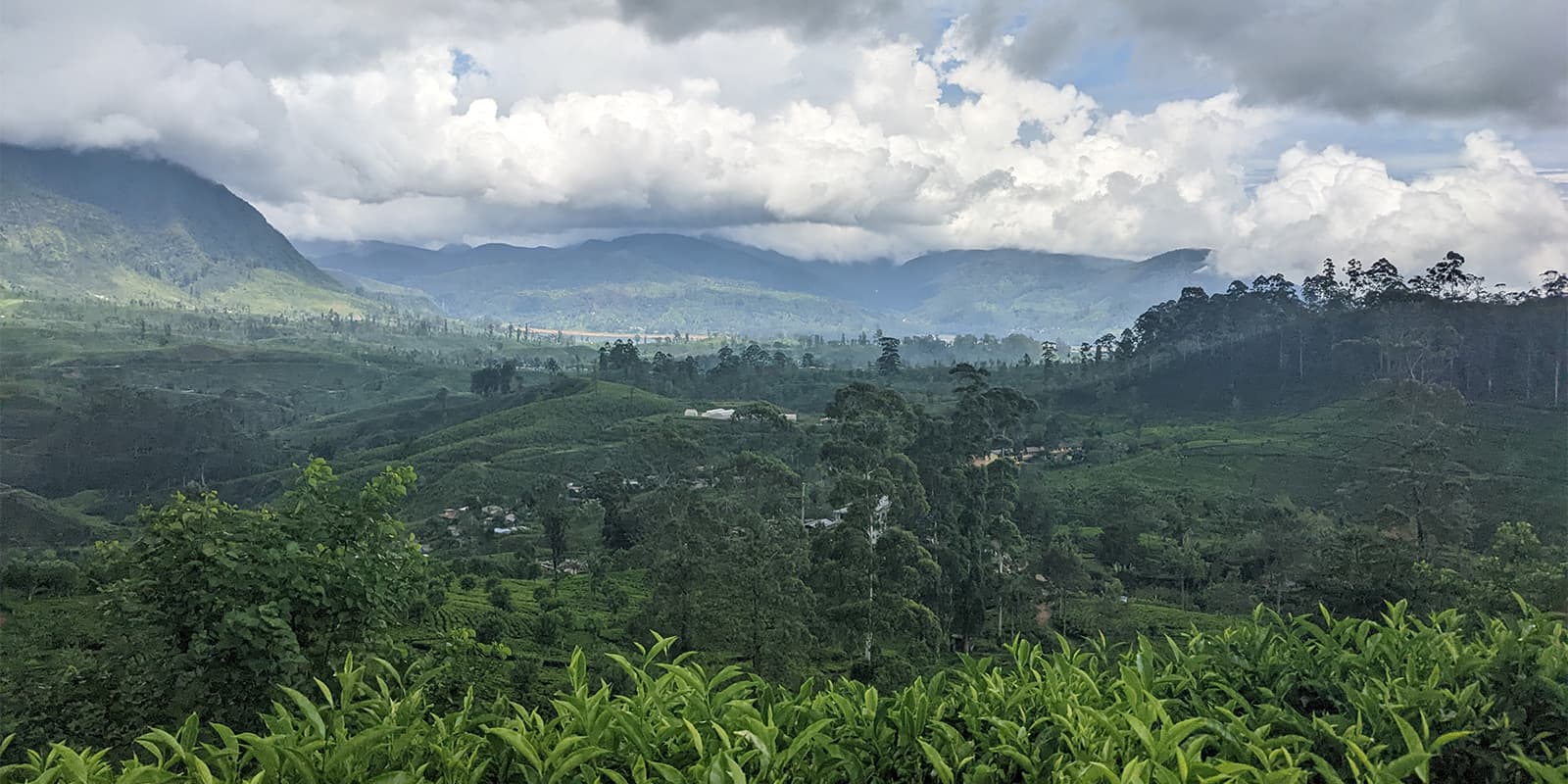 Sri Lanka’s Central Highlands