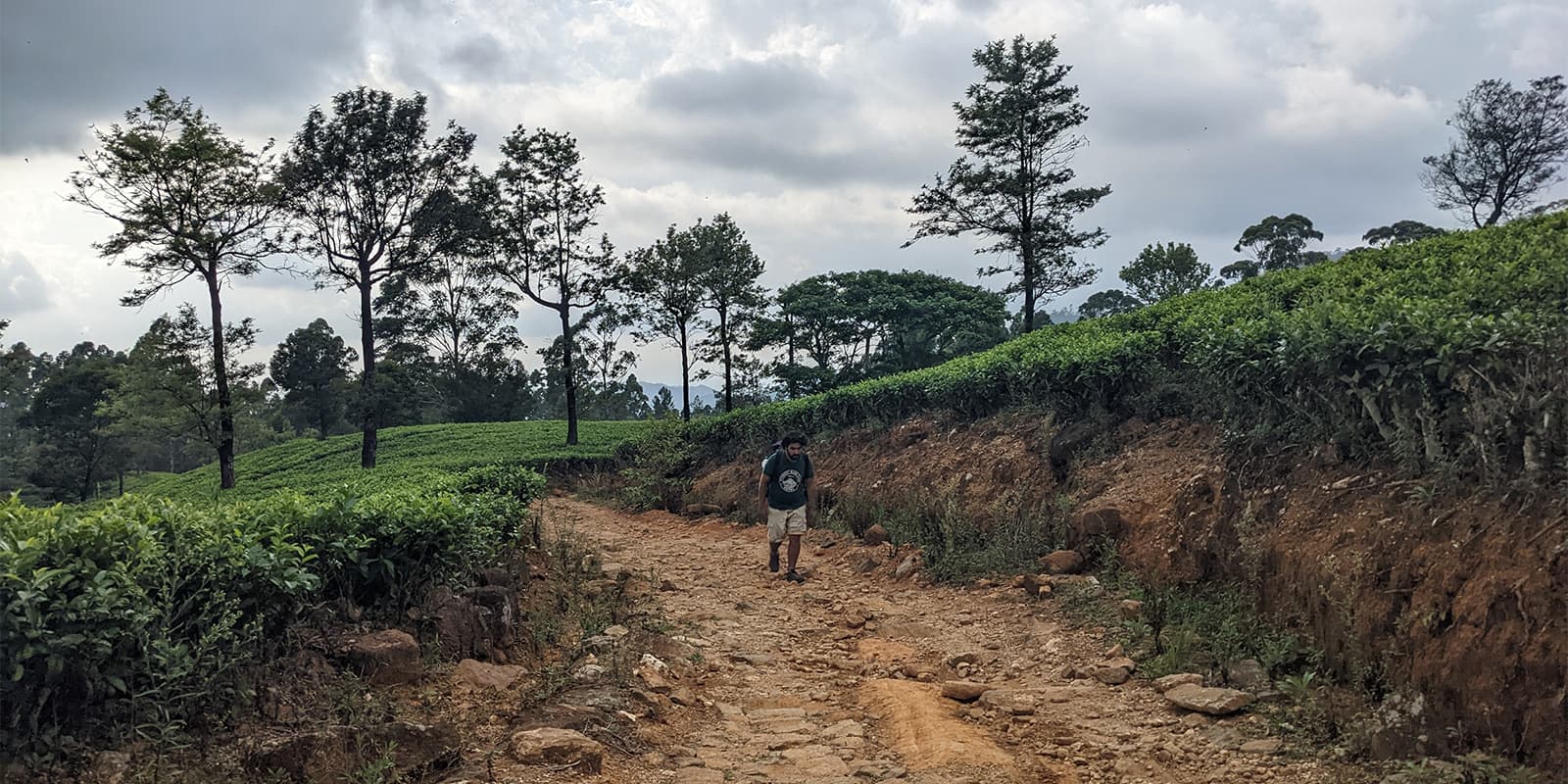 man hiking on the Pekoe trail in Sri Lanka