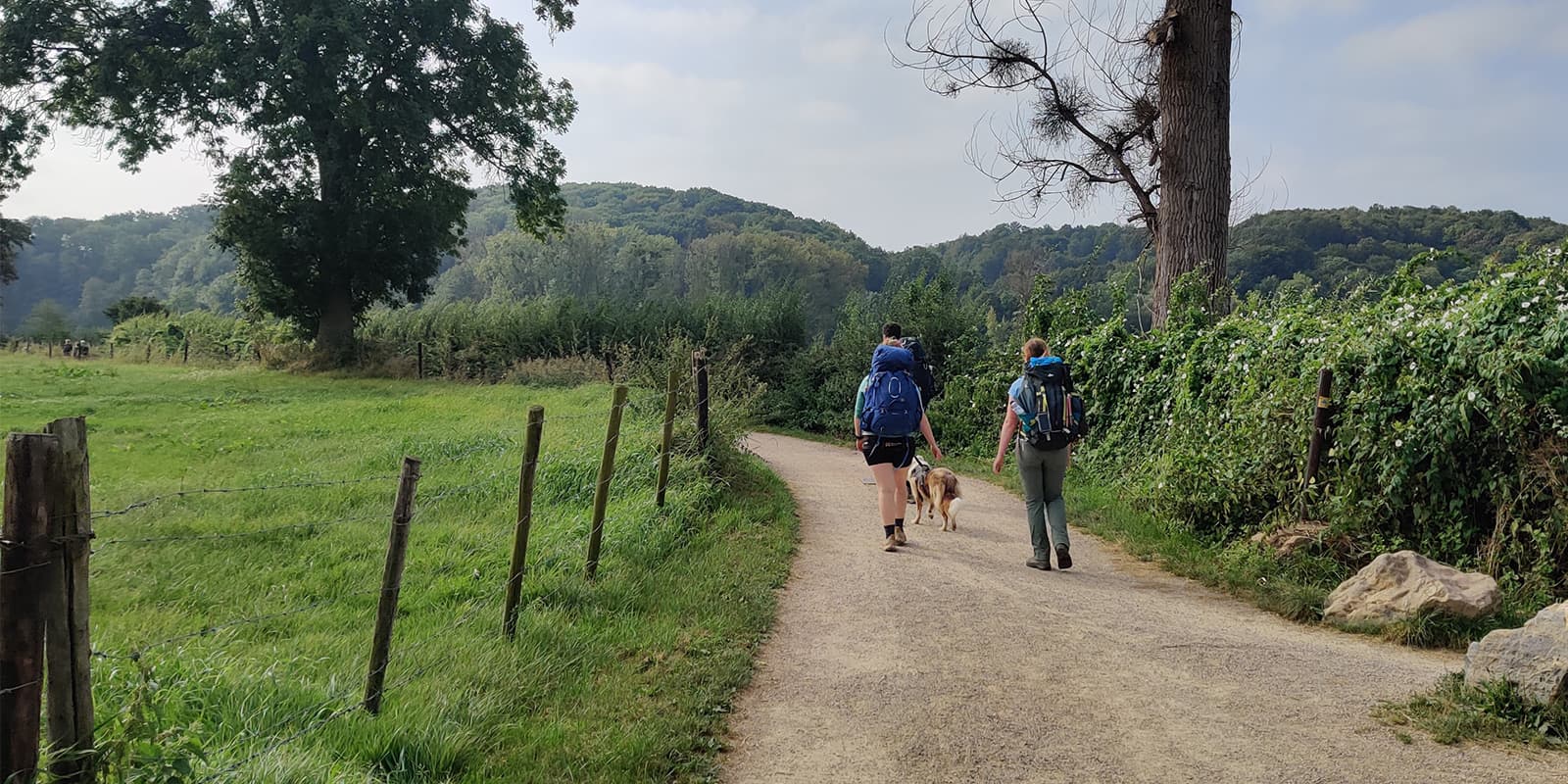 hikers on unpaved road walking with dog on the Pieterpad