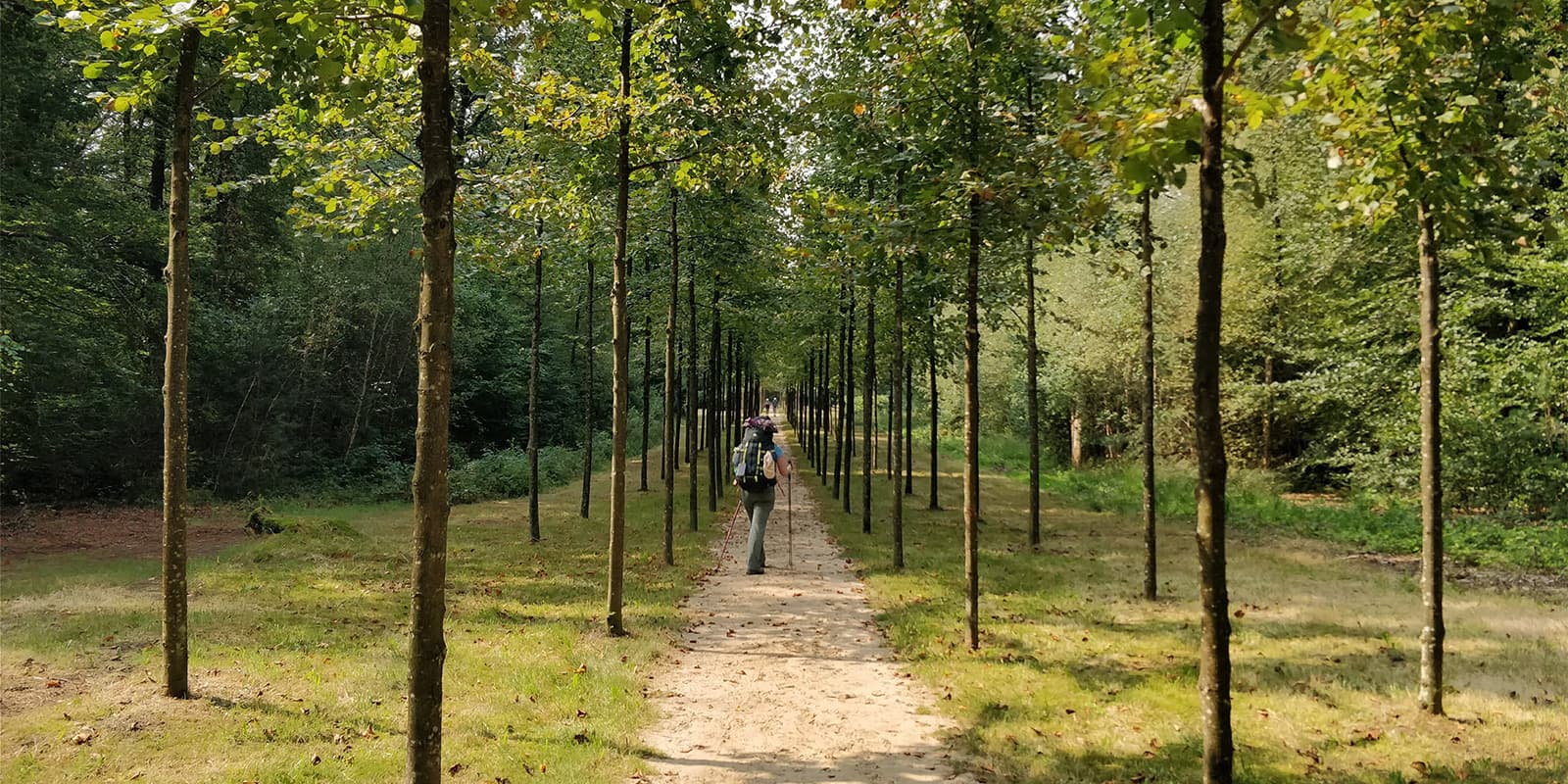 person hiking on the pieterpad