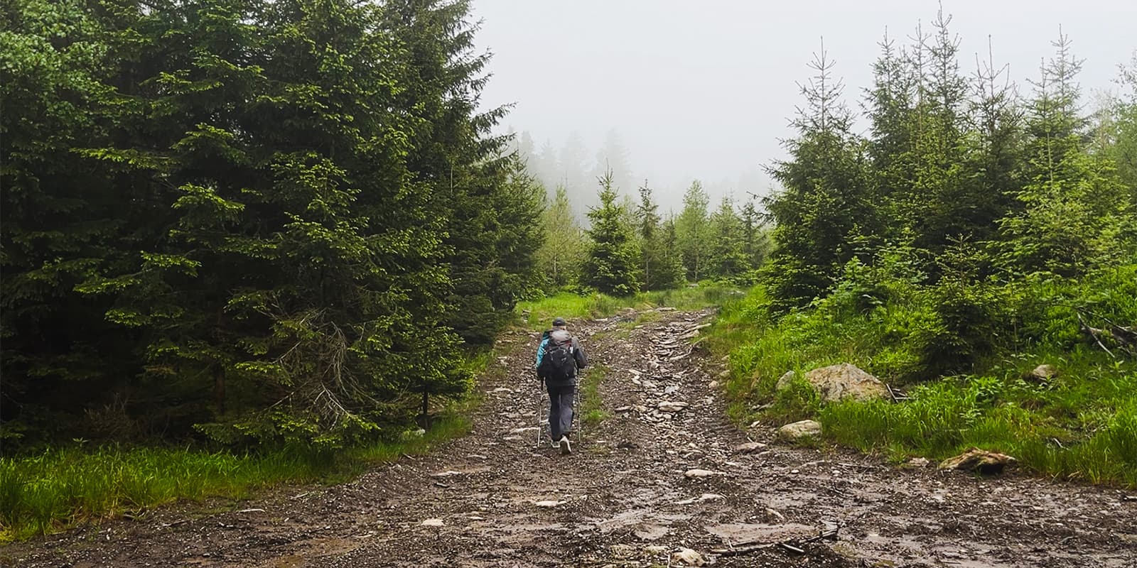 man hiking on the Sumava trail