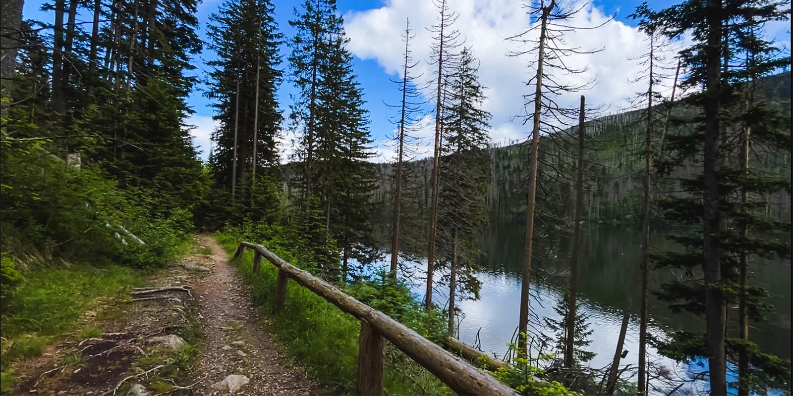 Sumava trail in czech republic