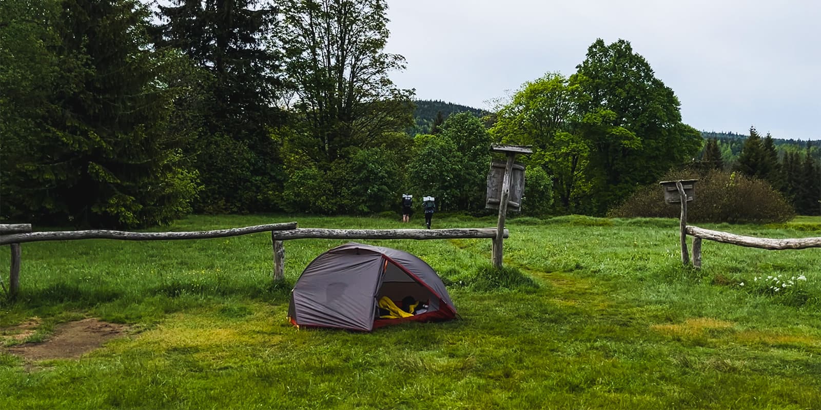 msr tent in forest clearing