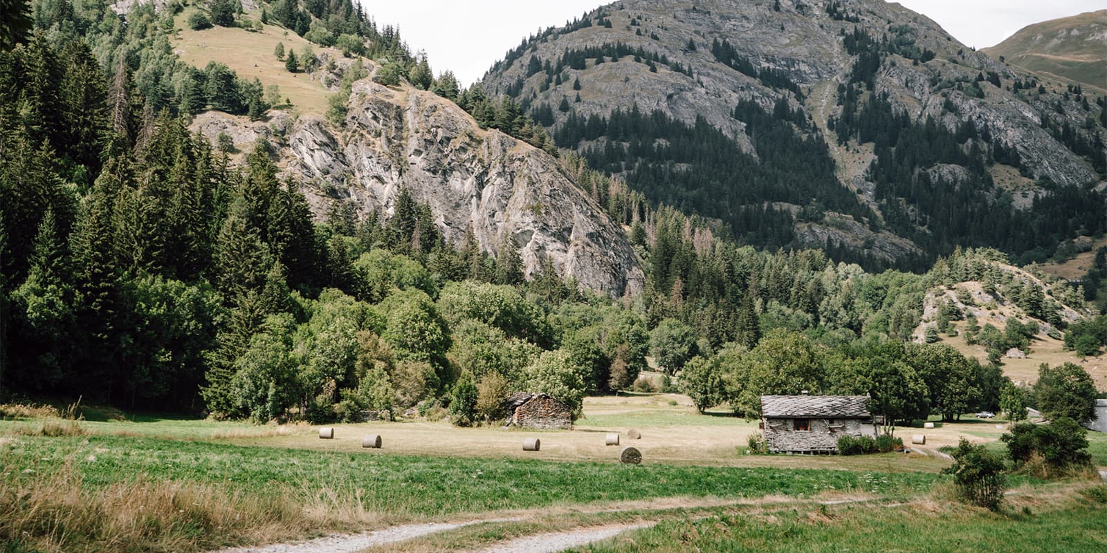 small farm and field in French alps