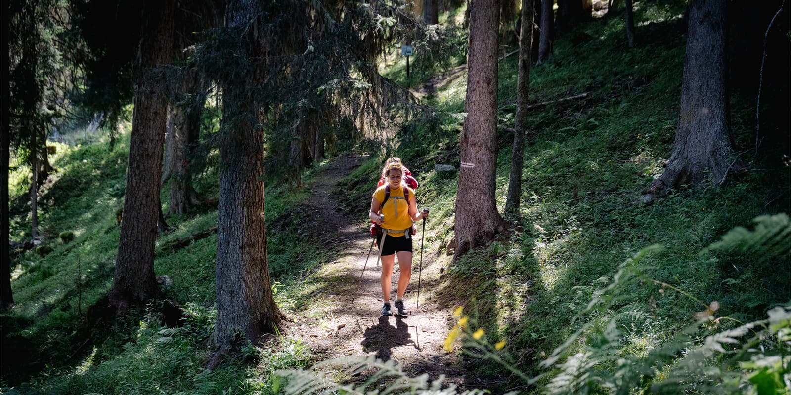 women hiking on forest path in Vanoise