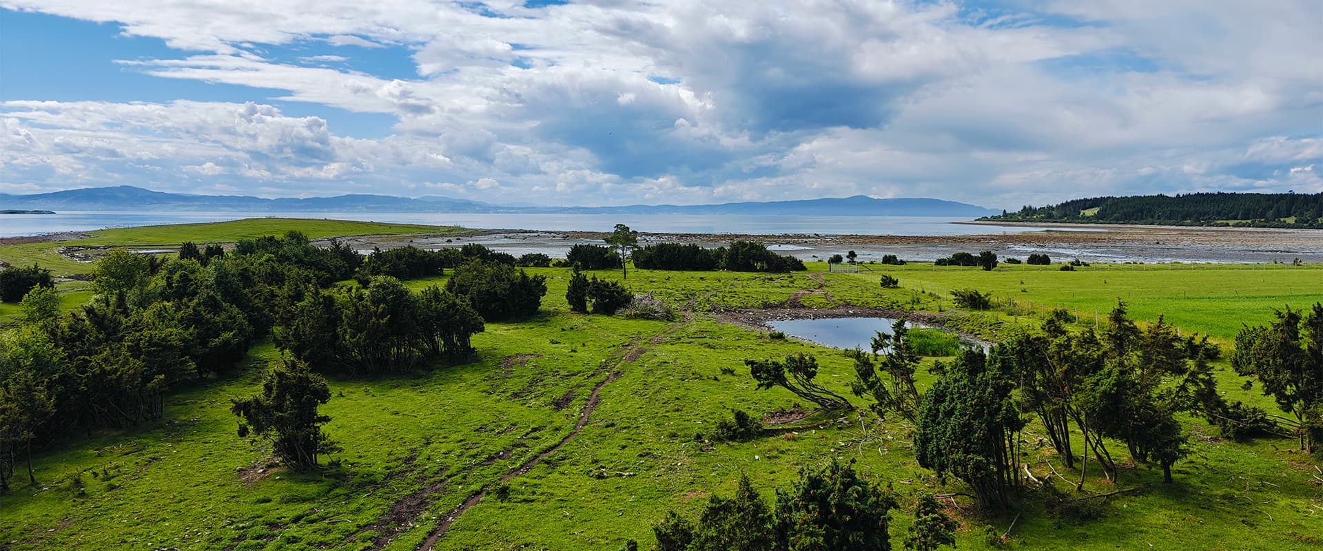 green landscape of Sweden near body of water