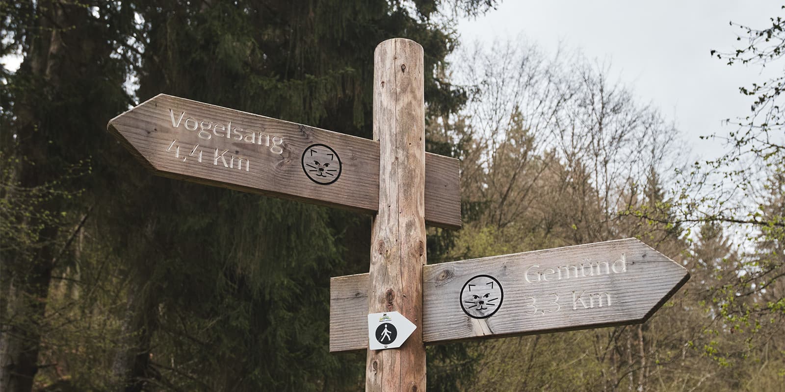 trail sign on the wilderness trail