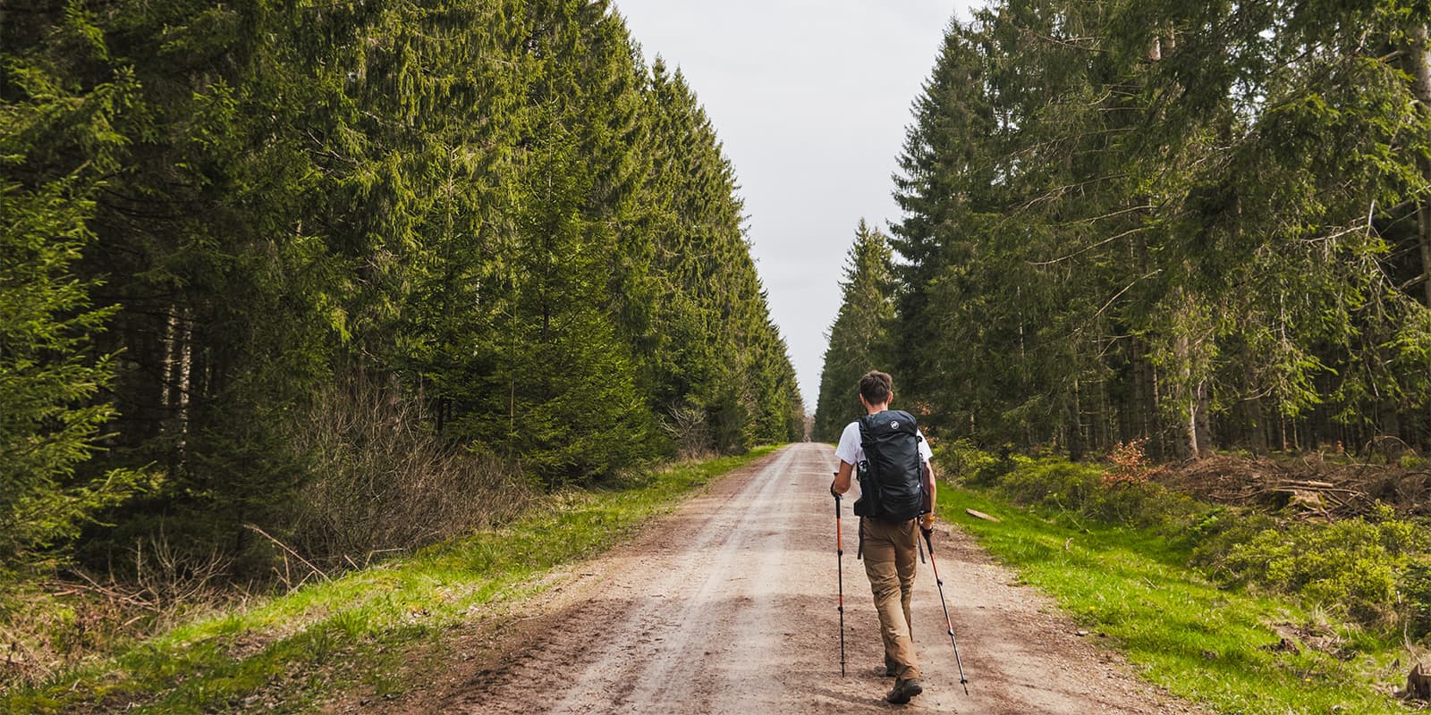 man hiking on the wilderness trial in the eifel region