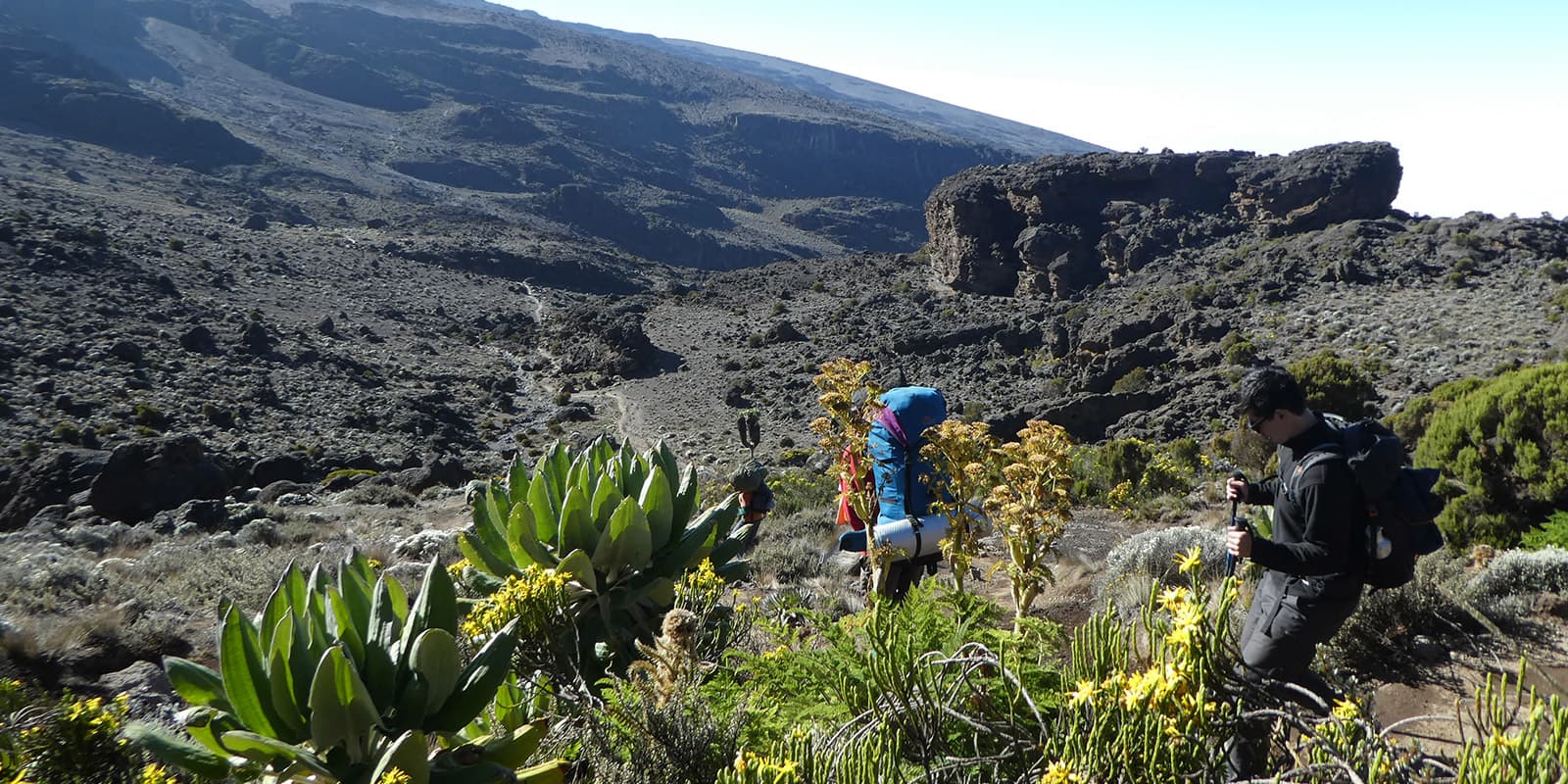 Lemosho route - kilimanjaro