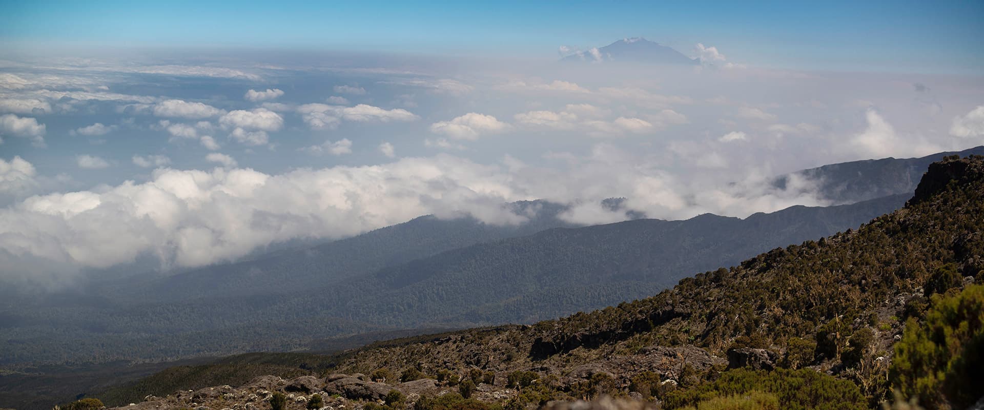 Lemosho route - kilimanjaro