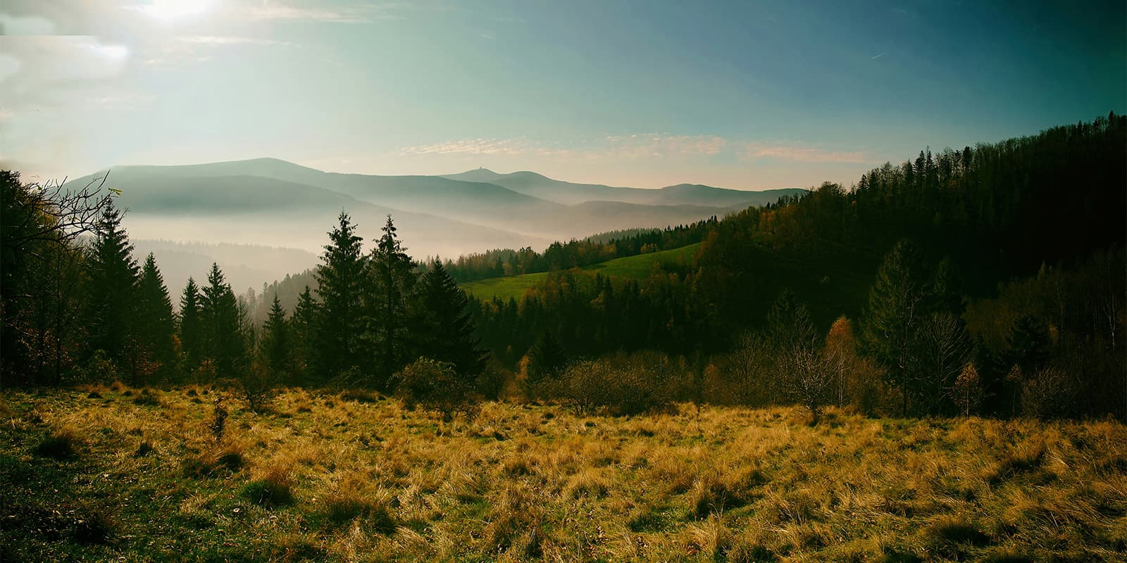 green landscape and hills