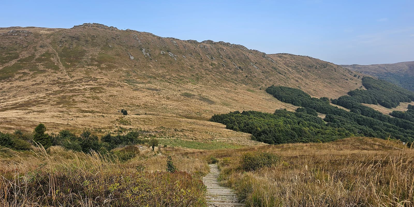 small mountain path on the Carpathian Trail in Poland