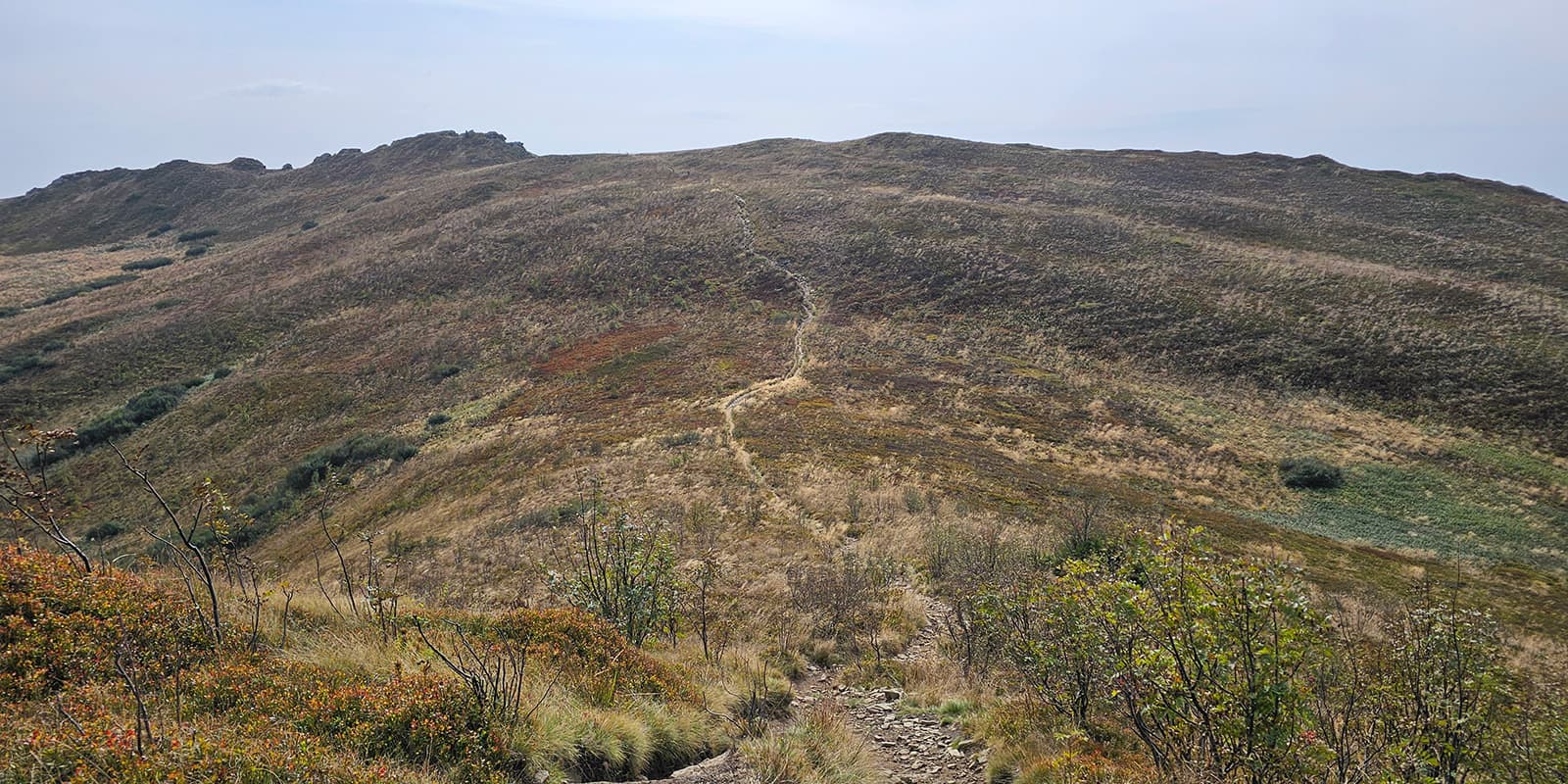 small mountain path leading up hill on the Carpathian Trail in Poland