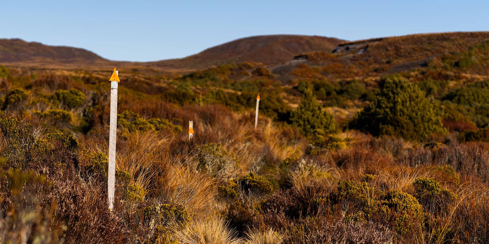 Tongariro Northern Circuit