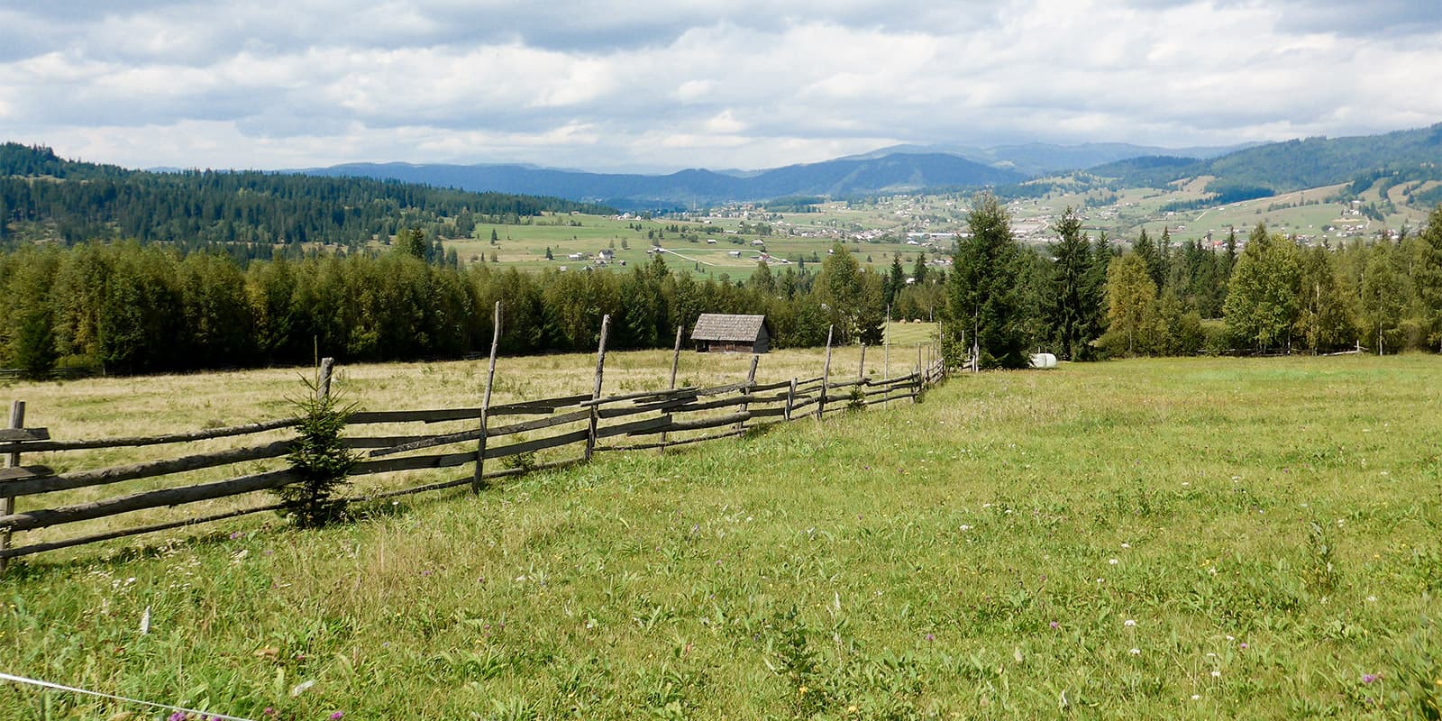 hills and green landscape in Romanian countryside