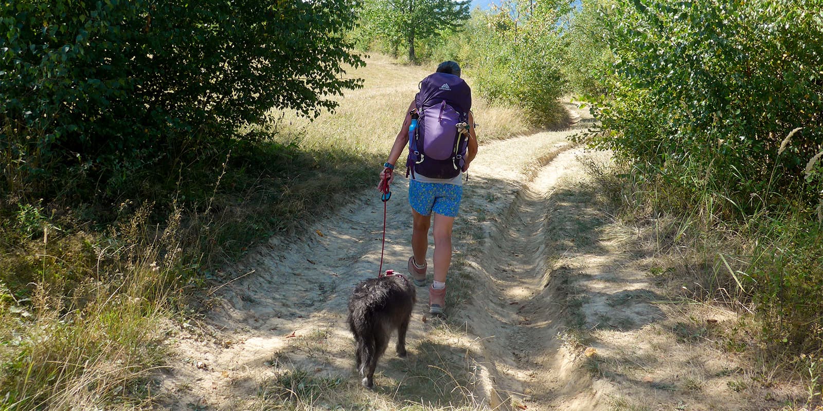 person hiking on unpaved path with dog on the via transilvanica