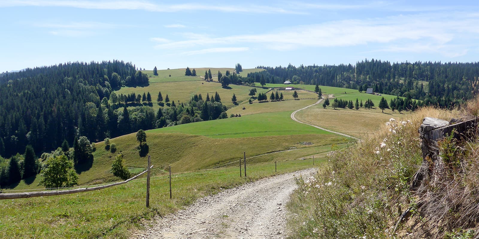 gravel road in the Romanian countryside on the Via Transilvanica