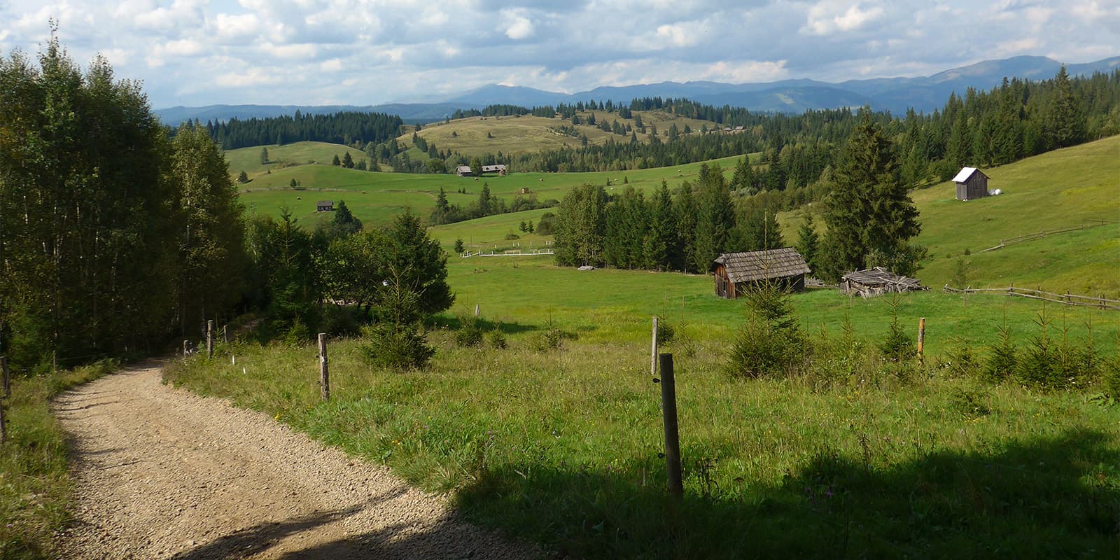 gravel road in the Romanian countryside on the Via Transilvanica