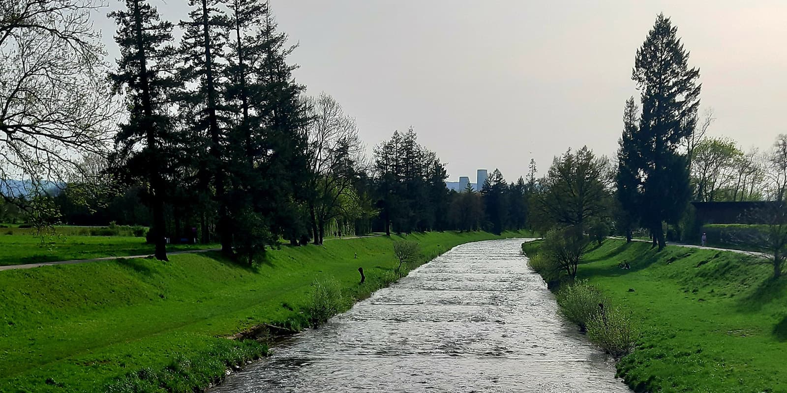 river sided by trees and paved road