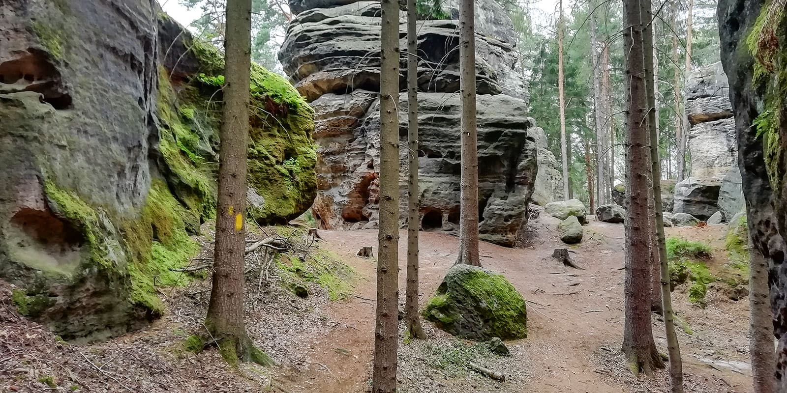 stone structures in forest on the Forststeig trail